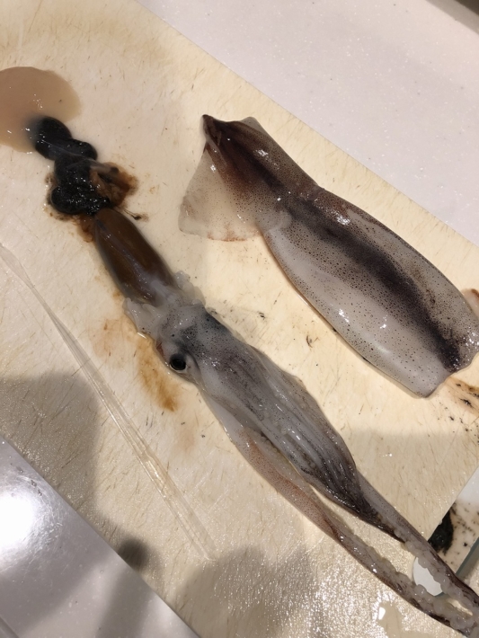イカの本体と内臓と軟骨