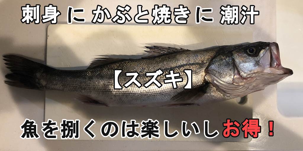 スズキ 刺身にかぶと焼きに潮汁 魚を捌くのは楽しいしお得 ぬると